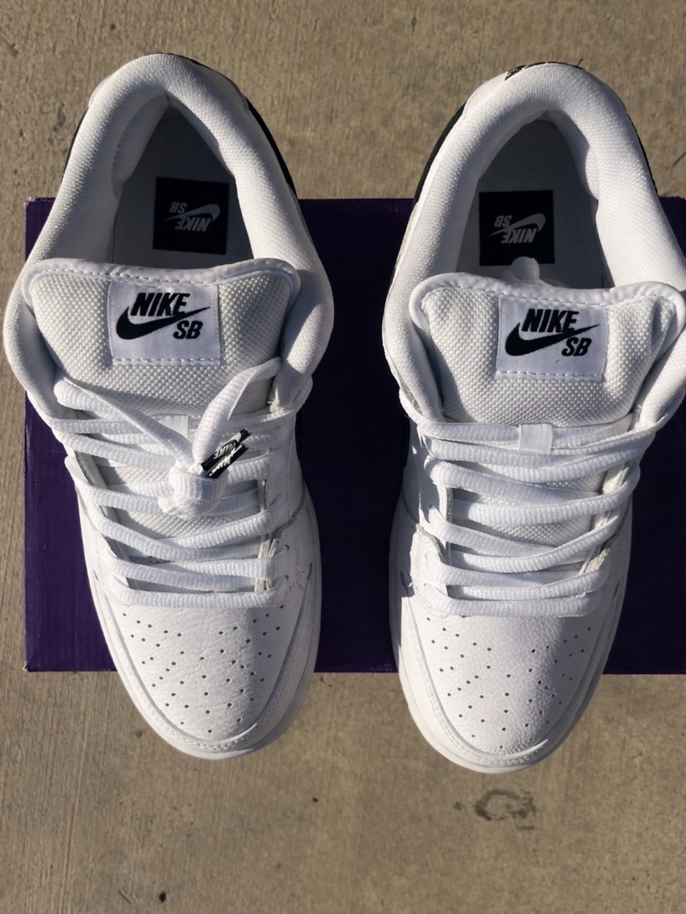 Nike SB White Men's Low-Top Skate Shoes
